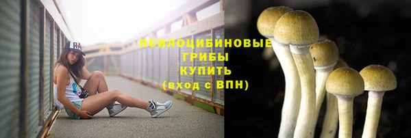 MESCALINE Нязепетровск